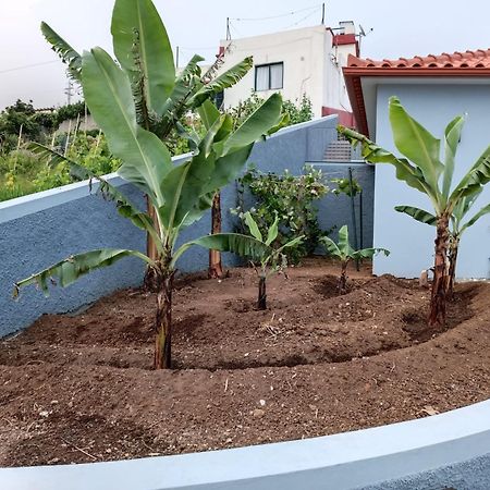 Calheta Paradise Holiday Home Arco da Calheta  Luaran gambar