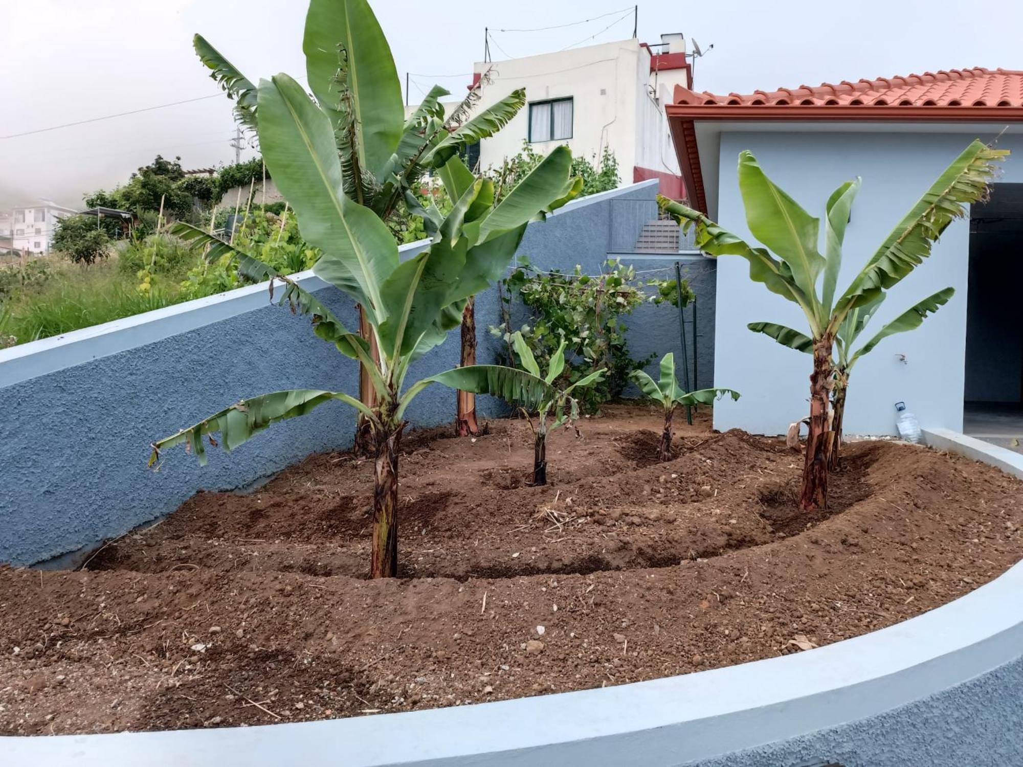 Calheta Paradise Holiday Home Arco da Calheta  Luaran gambar